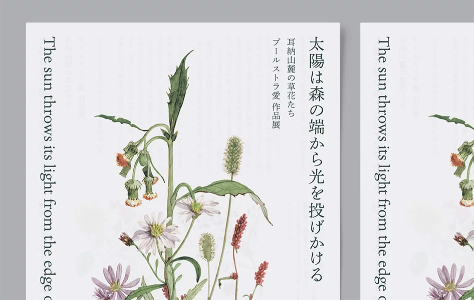 太陽は森の端から光を投げかける