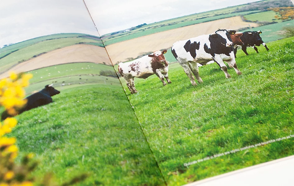 Found MUJI British Industries